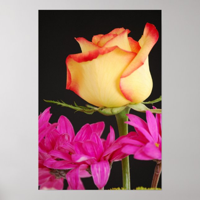 Póster Poster Bouquet de primavera (Frente)