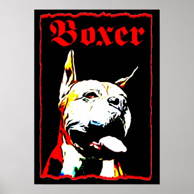 Póster Poster Boxer (Frente)