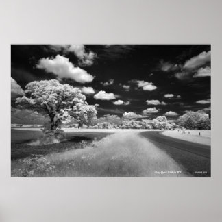 Póster Poster Bray Road