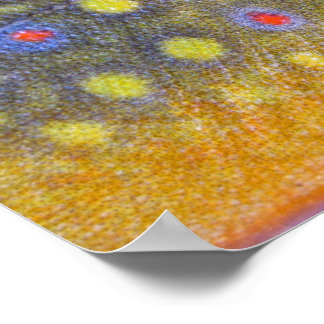 Póster Poster Brook Trout