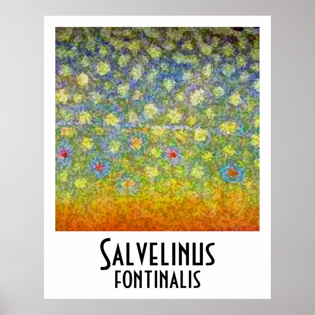 Póster Poster Brook Trout (Frente)