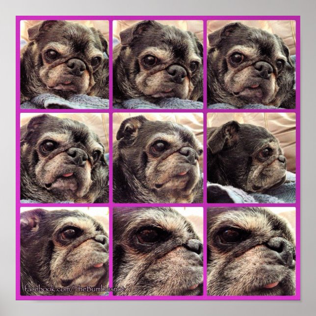 Póster Poster Bumblesnot: Tonos de burbujas (Frente)