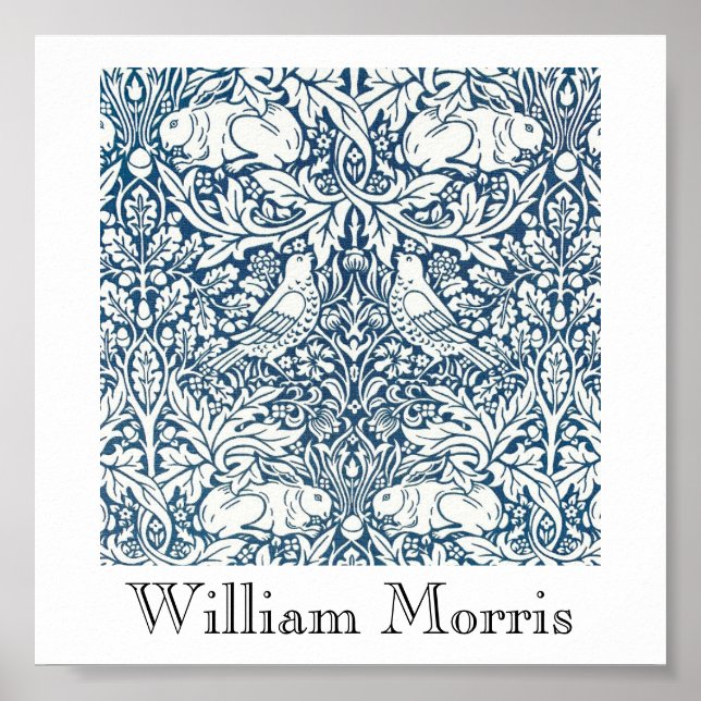 Póster Poster - Buscando ácoras Diseño 2 (Frente)