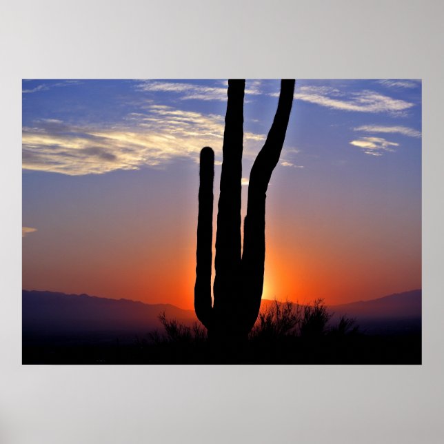 Póster Poster Cactus Sunset (Frente)