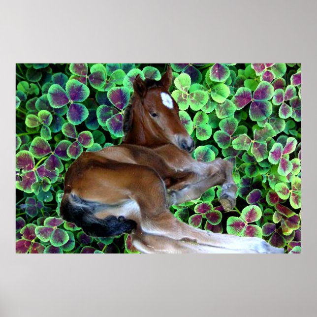 PÓSTER POSTER CALISTA IN CLOVER (Frente)