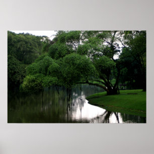 Póster Poster Calm Waters