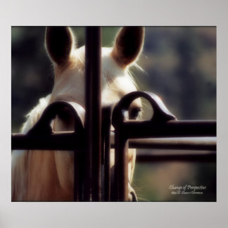 Póster Poster, cambio de perspectiva, caballo, granja, ro