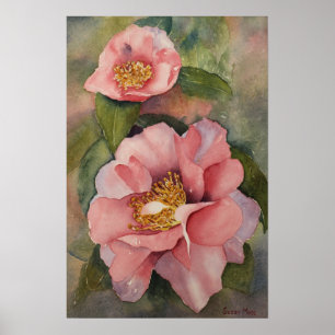 Póster POSTER - 'camelia en Bloom