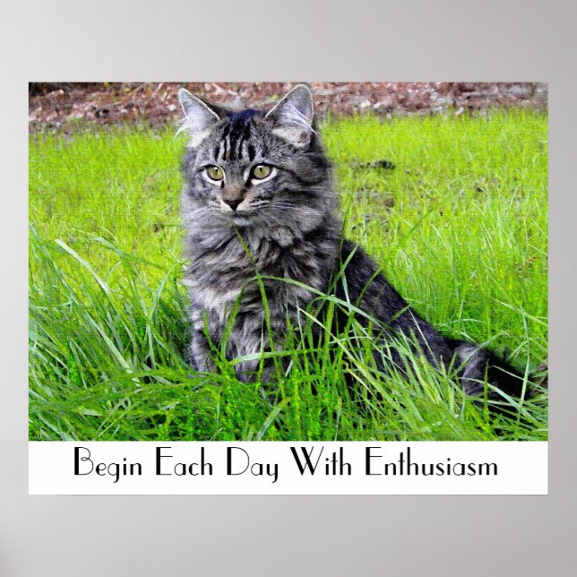 PÓSTER POSTER CAT (Frente)