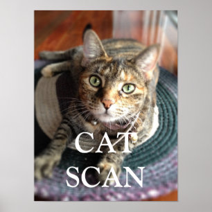 PÓSTER POSTER CAT SCAN