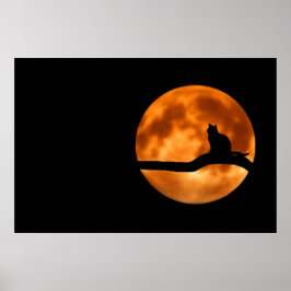 Póster Poster Cat Silhouette Moonlight