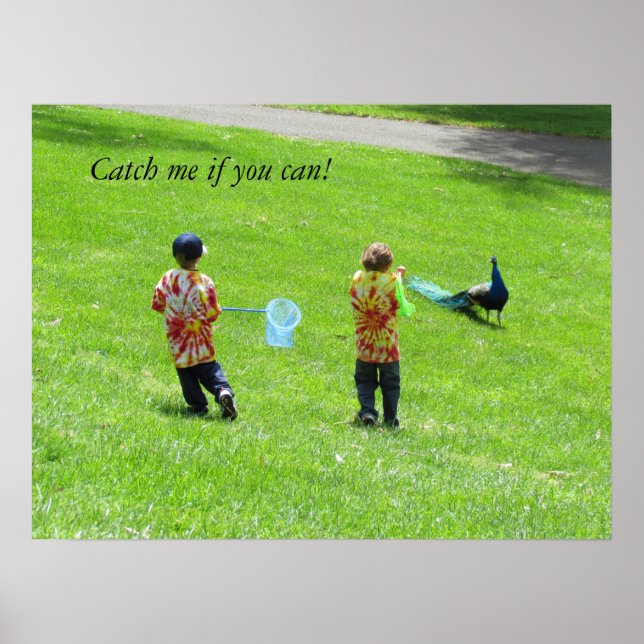 Póster Poster - Cazadores de pavo real (Frente)