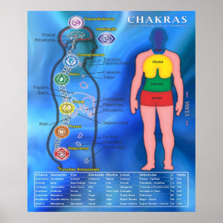 Póster Poster Chakras e suas Relações