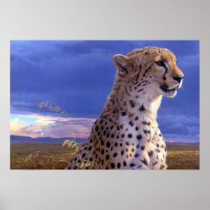 Póster Poster-Cheetah Poster