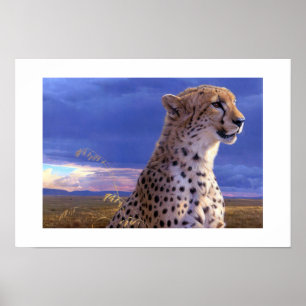 Póster Poster-Cheetah Poster