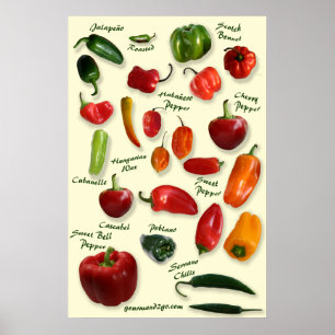 Póster Poster Chili ID