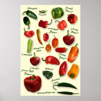 Póster Poster Chili ID