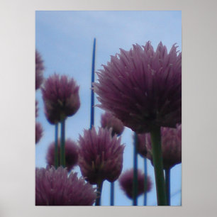 Póster Poster - Chives Image 1