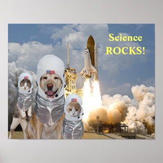 Póster Poster científico de astronautas curiosos de perro