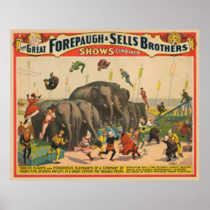 Póster Poster Circo De Acróbatas Saltando Sobre Elefantes