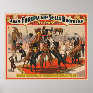 Póster Poster Circo De Los Grandes Daneses Con Entrenador