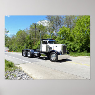 Póster Poster clásico de Pete de la nariz de la aguja