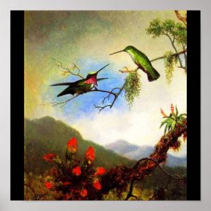 Póster Poster-Clásico/Vintage-Martin Johnson Heade 1