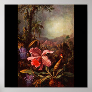 Póster Poster-Clásico/Vintage-Martin Johnson Heade 14