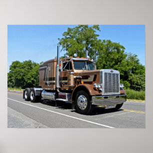 Póster Poster Classic Tan 359