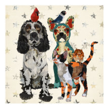 POSTER CLAWS, PAWS & FEATHERS