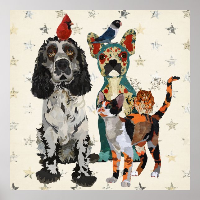 PÓSTER POSTER CLAWS, PAWS & FEATHERS (Frente)