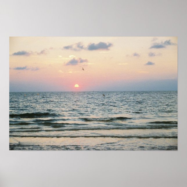 Póster Poster Clearwater Beach Sunset (Frente)