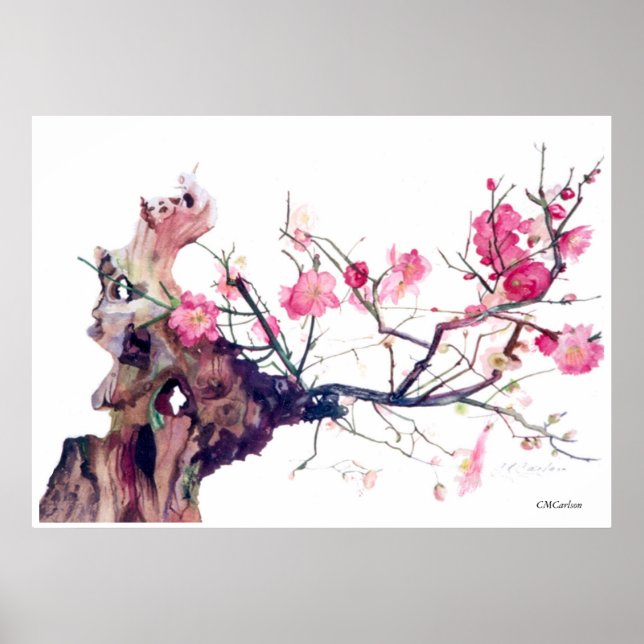Póster Poster CMCarlson Cherry Blossom (Frente)
