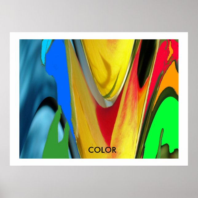 PÓSTER POSTER COLOR (Frente)