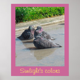 Póster Poster - Colores de la luz solar