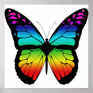 Póster Poster colorido de la mariposa