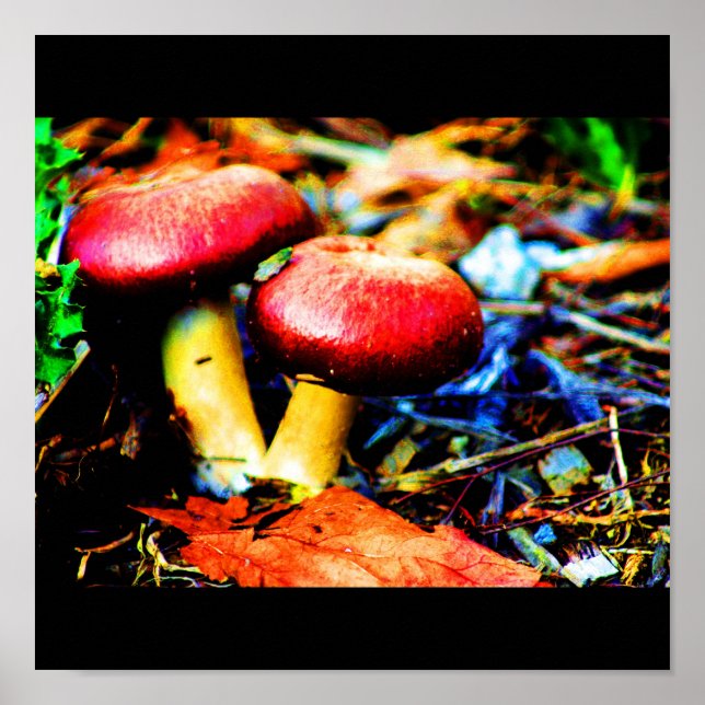 Póster Poster-Comida/Bebida-18 (Frente)