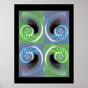 Póster Poster compuesto del nautilus