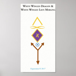 Póster Poster con alas blanco con alas blanco del dragón