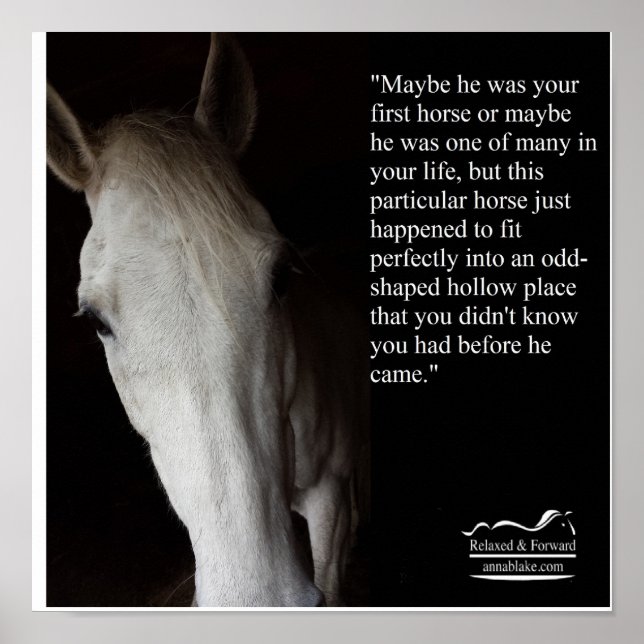 Póster Poster con Anna Blake Cita sobre caballos. (Frente)