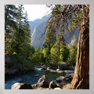 Póster Poster con arroyo, bosque y montañas