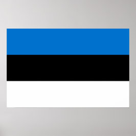 Póster Poster con bandera de Estonia