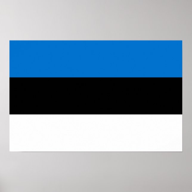 Póster Poster con bandera de Estonia (Frente)