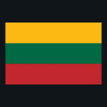 Póster Poster con bandera de Lituania<br><div class="desc">¡Muestra tu orgullo lituano con este poster audaz y vibrante que cuenta con la bandera de Lituania! Diseñado para captar la esencia de la identidad nacional, este poster muestra la icónica tricolor amarilla, verde y roja en un detalle vívido. Es la pieza perfecta para celebrar el patrimonio de Lituania, ya...</div>