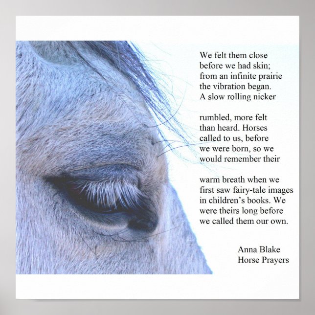 Póster Poster con caballo y poema de Anna Blake. (Frente)