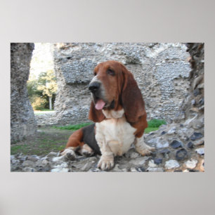 Póster Poster Con Visita De Ruina Al Castillo De Basset H