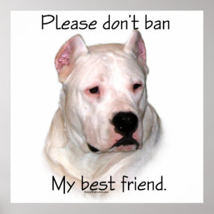Póster Poster contra BSL de Dogo Argentino