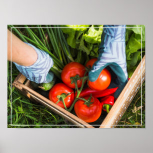 Póster Poster-Cosecha