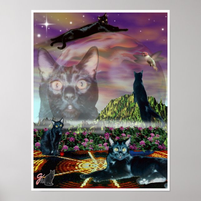 Póster Poster Cosmos (Frente)