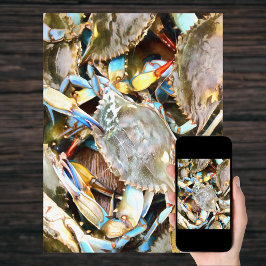 Póster Poster Crabby Blue Crabs